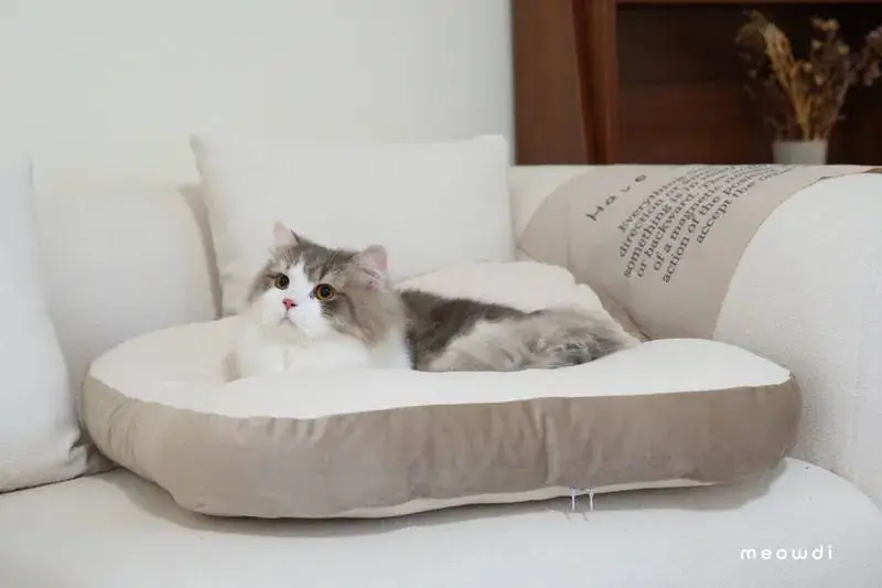 Meowdi 吐司好眠枕 (因為壓縮過會扁扁～等待2-3天回彈即可)