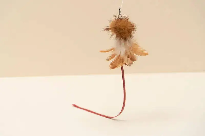 Zooahpet 韓國製- 紅尾麻雀逗貓捧替換頭