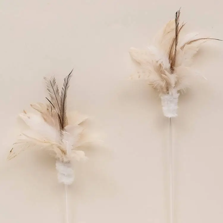 Zooahpet 韓國100cm 貓捧隨機款