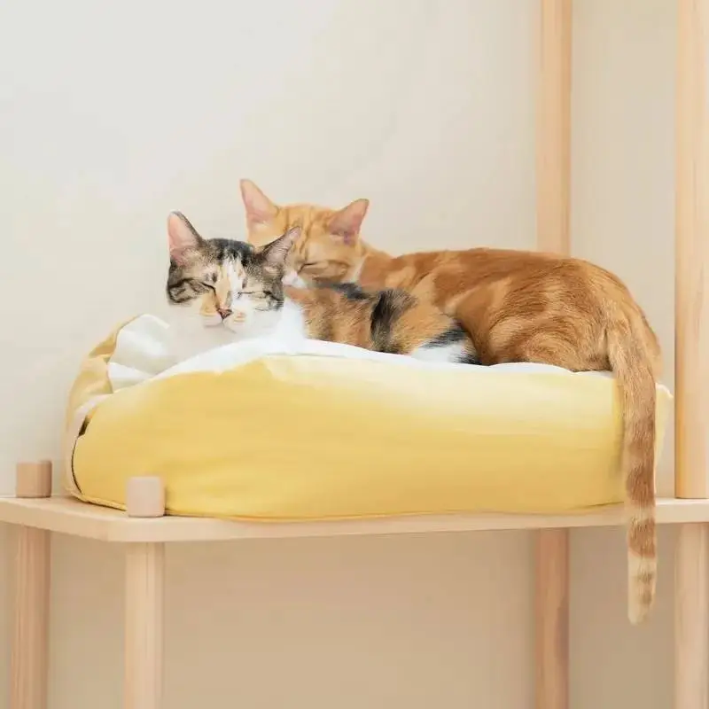 好味小姐 好味貓懶骨頭｜好評升級版  (大碼) 布蕾黃