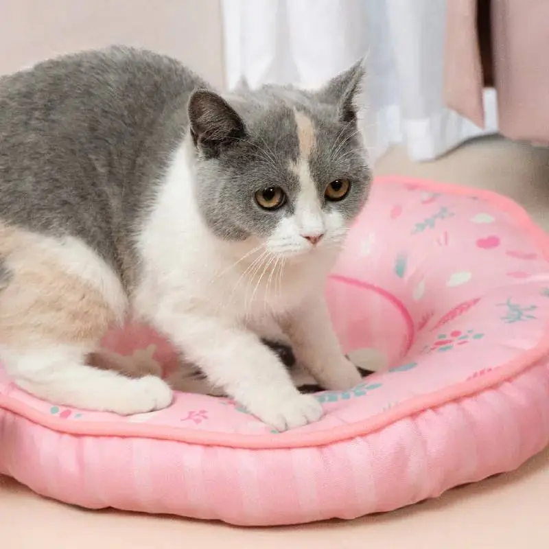 貪貪 午睡塔塔窩 48*6.5cm高